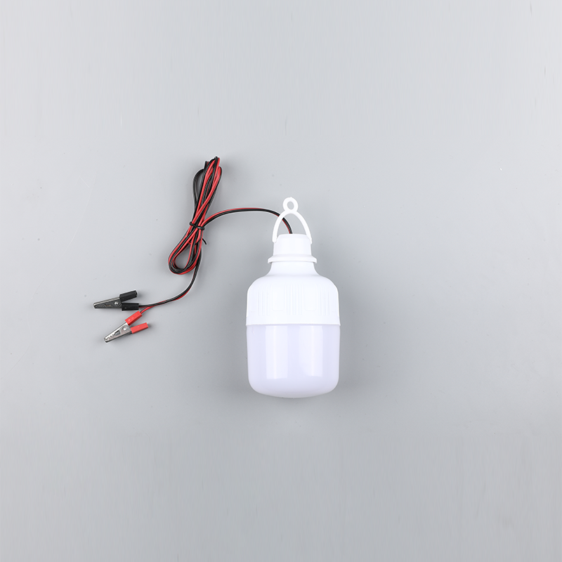 LED電球-DC12V 24V