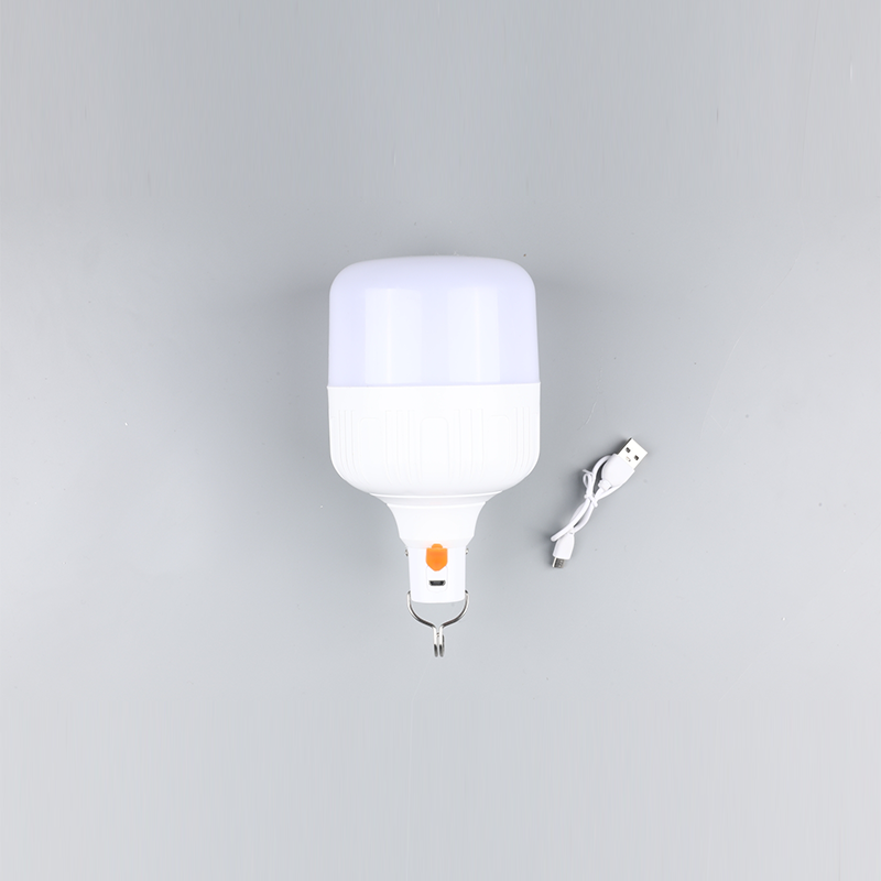 LED電球-DC 12v 24v